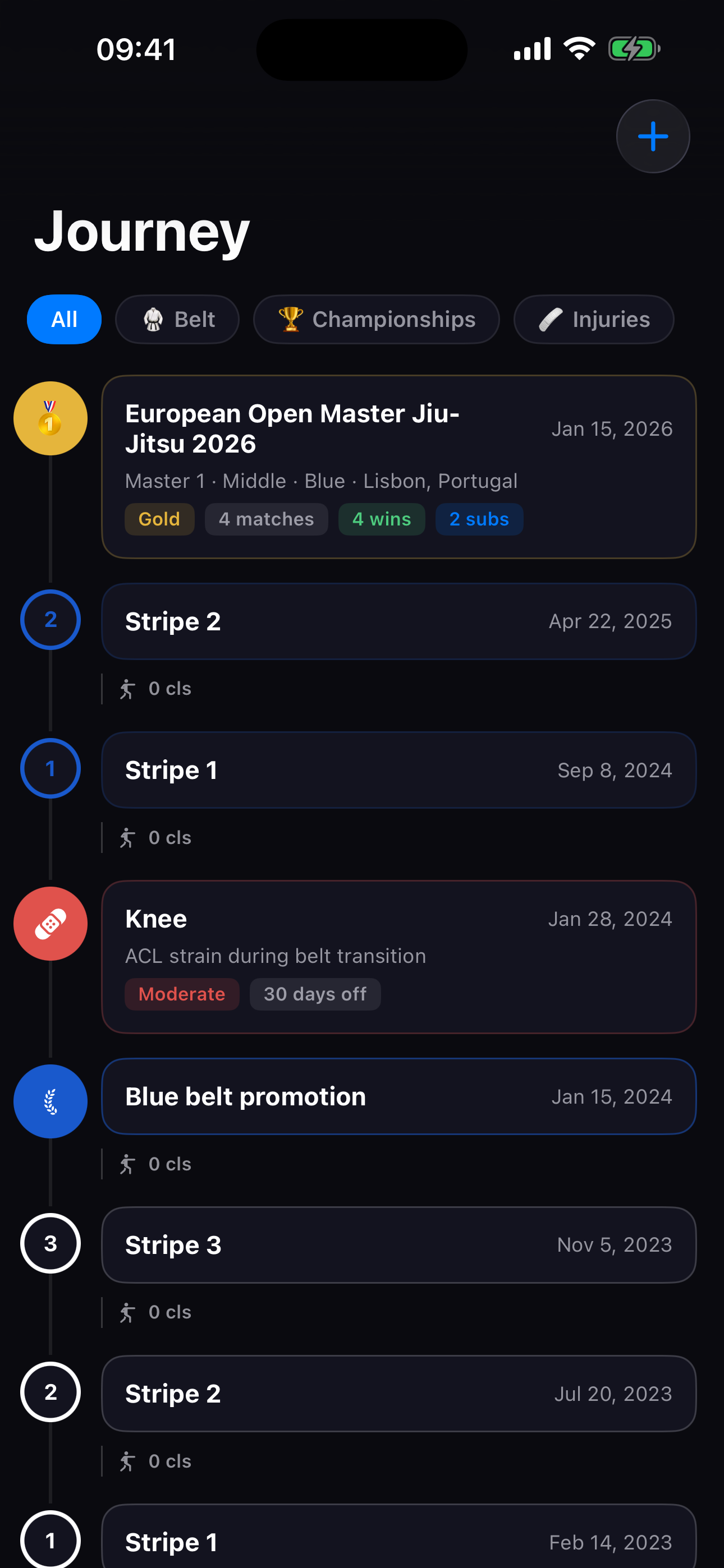 Journey timeline showing promotions, stripes, and training stats between belts