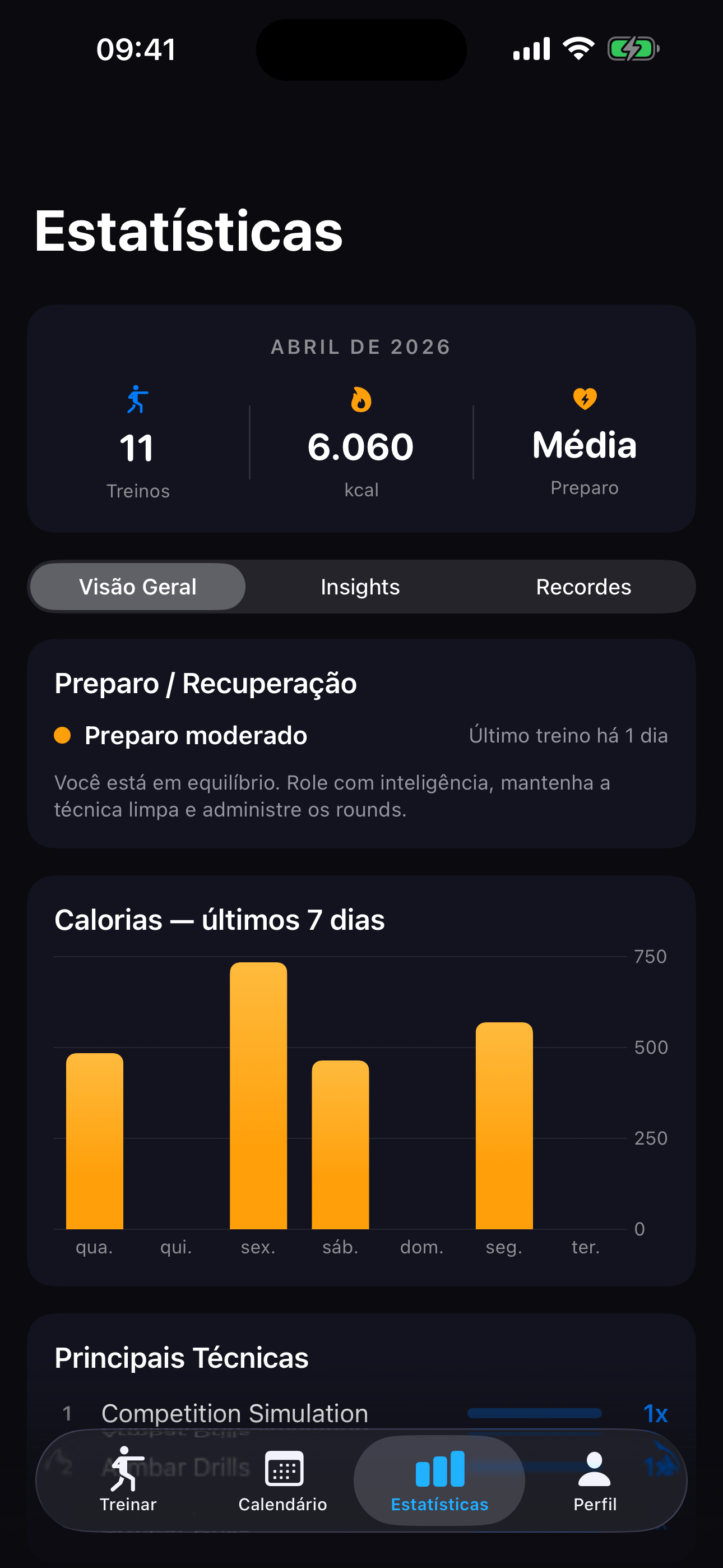 Painel de estatísticas com treinos, calorias, prontidão para luta e marcos
